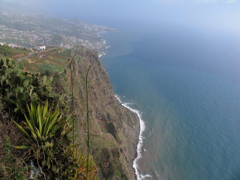 Madeira (106).jpg